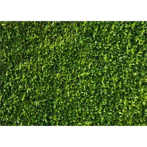 Künstliche Pflanzendekoration Mano MP001 1,5 x 2,1 m Vinyl-Hintergrund für Fotografie & Events (1/5)