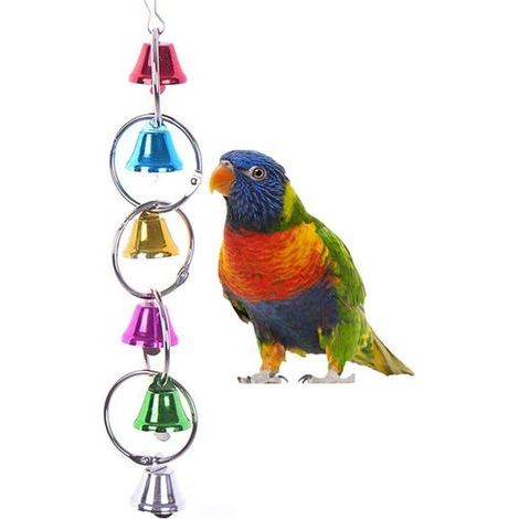 Coloré Ringer Bells Balançoire Jouet pour Oiseau Perroquet Africain Gris Ara Perruches Perruche Calopsitte Cacatoès Conure Inséparable Finch Cage Perche (1/5)