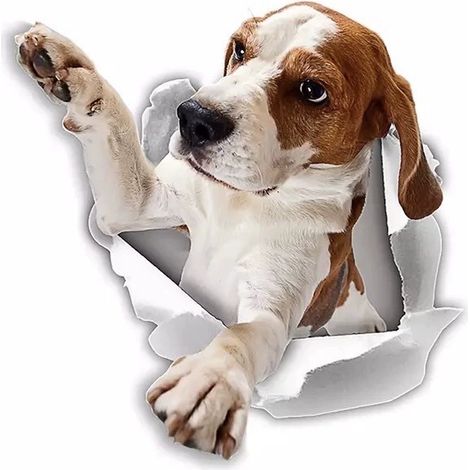 3D-Hundeaufkleber – 2er-Pack – Beagle-Aufkleber zum Greifen nah für Wand, Kühlschrank, Toilette und mehr. Beagle-Aufkleber, 25 x 25 cm