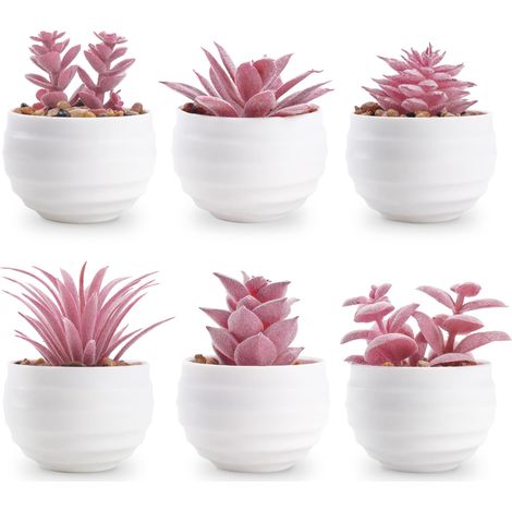 Juego de 6 Plantas Suculentas Artificiales en Maceta, Mini Plantas Decorativas para Dormitorio, Salón, Oficina y Estantería (1/5)