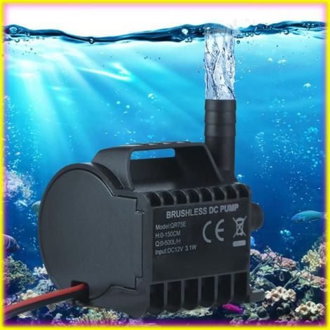keenso petite pompe à eau Pompe à eau submersible 12 V, petite pompe de fontaine électrique 500 L/H piscine artificiel Noir QR75E (1/5)