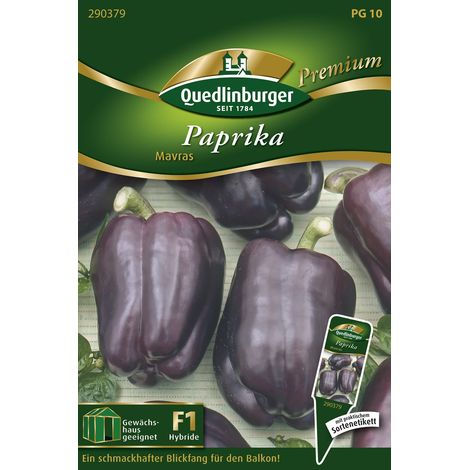 Quedlinburger Saatgut – Poivron Mavras – Graines de légumes, fruits violet foncé virant au rouge foncé, hauteur env. 60 cm (1/2)