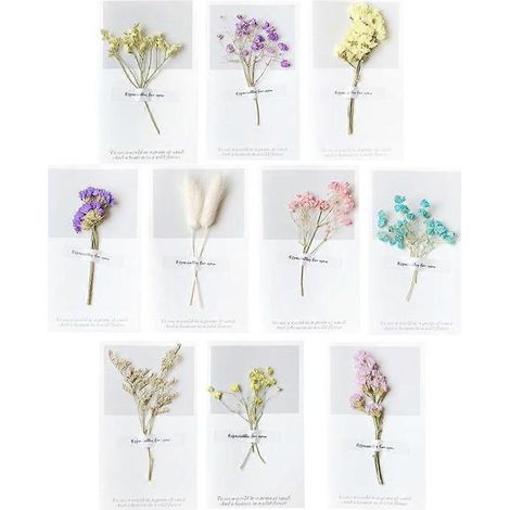 Carte de vœux avec fleurs séchées (12 pièces) pour la fête des enseignants et la Saint-Valentin (1/5)