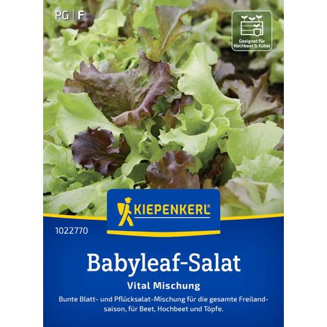 Kiepenkerl Saatgut Babyleaf-Salat Vital Mischung für ca. 1 - 2 m² (1/2)