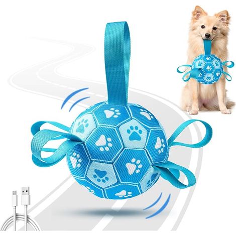 Jouets interactifs pour chiens, Ballon de foot pour chien, Ballons pour chiens sangles pour chiens (1/5)