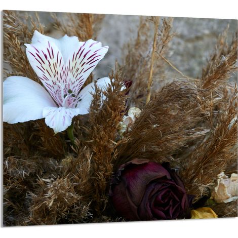 PANNELLO IN VETRO PER CUCINA 65x60 Orchidea (1/5)