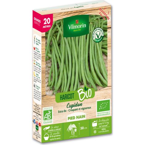 Haricot Nain Vert Cupidon - 20 m - BIO Vilmorin