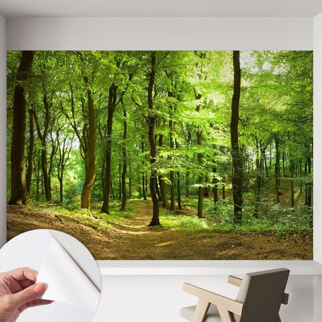 Papier peint adhésif décoratif avec colle pour salon chambre et bureau Installation rapide Sentier naturel 152x104 cm (1/5)