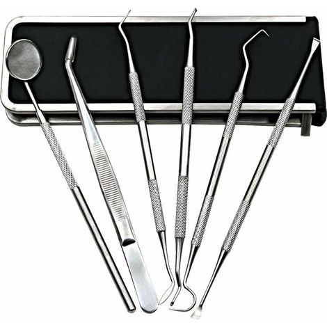 Zahnreinigungsset – Set mit 6 Edelstahl-Instrumenten und faltbarem Lederetui (1/5)