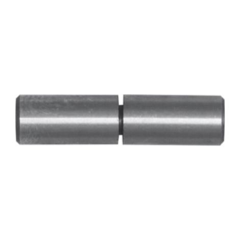 Gond À Billes Domax ZTK22, Ø22 x 90 mm, Charnière Métallique Pour Porte Et Portail (1/5)