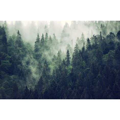 Tapis magnétique pour cache radiateur Forêt dans le brouillard 60x100cm (1/3)