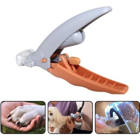 Coupe-ongles - - Taille-crayon Loupe LED - Pour chiens et chats - Lumières LED - Pratique et efficace (1/4)