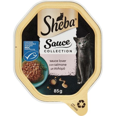 Sheba Sauce Collection, Cibo Umido per Gatti con Salmone, 22 Vaschette da 85g (1/4)