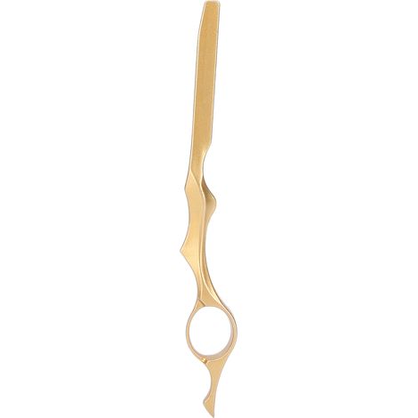Rasoir professionnel pour coiffure, lame de texturisation et effilage pour salon. (1/5)