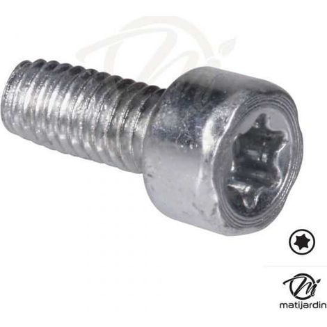 Vis Torx 27 M4 x 10 pour tronçonneuse Stihl 017 MS170 (1/3)