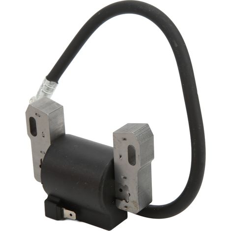 Bobine d'allumage moteur 590454 692605 790817 Performance stable pour tondeuse BS (1/5)