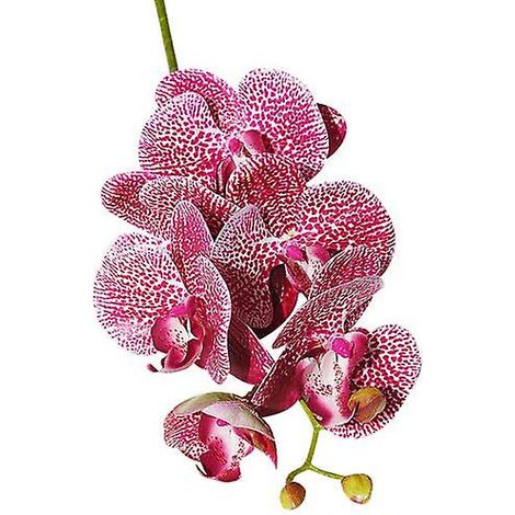 fleur artificielle papillon orchidée flexible pour jardin, décoration DIY fête mariagerose rouge (1/5)