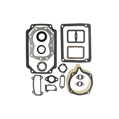 Guarnizioni motore KOHLER 4575504