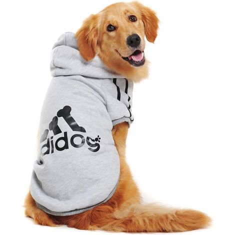 Sweat à capuche pour chien, vêtements pour animaux de compagnie, sweat à capuche basique avec poche, pour chiens de petite, moyenne et grande taille, gris (1/5)