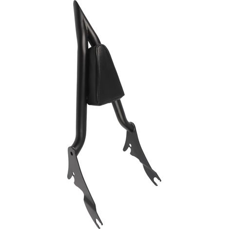 de dossier passager amovible de rechange pour moto XL 883C (1/5)