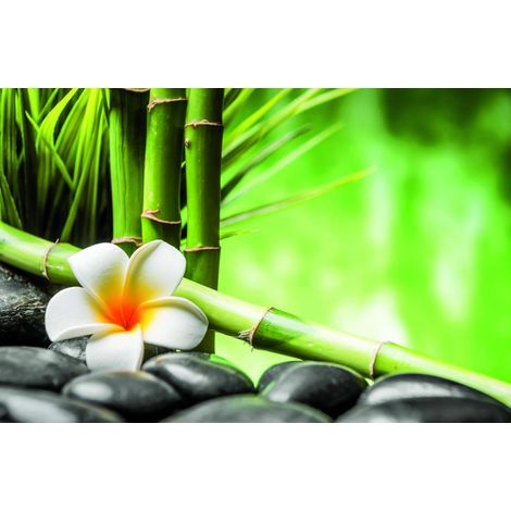 Deco-Canvas Bild - Bambus Zen 116 x 76 cm Wandbilder