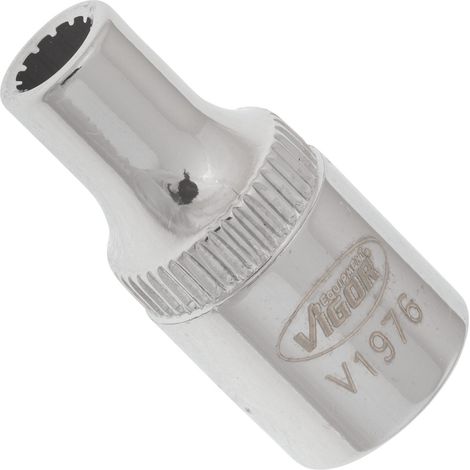VIGOR Innenvierkant Antrieb 6,3 = 1/4 Zoll Multiprofil-Steckschlüssel-Einsatz Multiprofil V1976 Vierkant hohl 6,3 mm (1/4 Zoll) 4 Gesamtlänge: 25 mm (1/4)