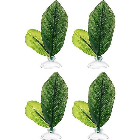 4 feuilles d'aquarium (1/3)