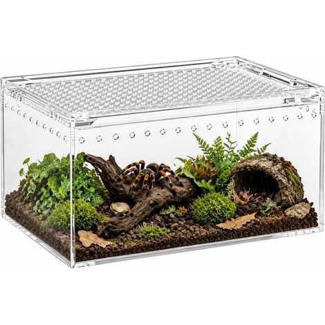 Terrarium en acrylique - Petit terrarium avec vue panoramique à 360° - Anti-évasion - Facile à nettoyer - Pour reptiles, araignées et coléoptères (1/5)