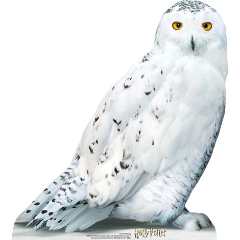 Figurine en carton Hedwige la chouette blanche Film Harry Potter 74 cm (1/5)