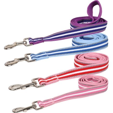Laisse réfléchissante pour chien avec fil réfléchissant pour la nuit (1/2)