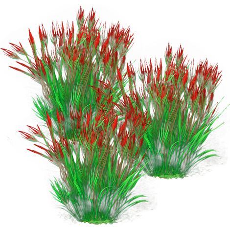 3 éléments de décoration pour aquarium, imitation herbe aquatique en TPC et céramique, dimensions 21 x 6,5 cm, pour eau douce et eau de mer (1/5)