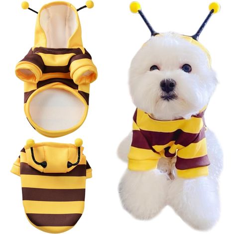 Chien Costume, Bee Dog Costume, Costumes d'abeille pour Chat, Sweats À Capuche pour Chien Abeille,Vêtements pour Chiens De Petite Et Moyenne Taille (M) (1/5)