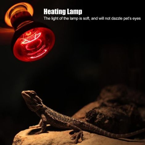 Ampoule de lampe chauffante de chauffage infrarouge durable pour alimentation pour animaux de compagnie de reptiles (75 W) (1/3)