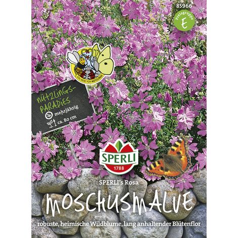 Sperli – Mauve musquée Sperli's Rosa – Graines de fleurs, vivace, fleurs rose tendre, hauteur env. 80 cm (1/2)