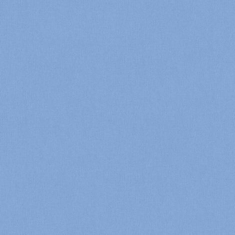 BRICOFLOR Papier peint Bleu Couloir Cuisine Chambre (à coucher) Salon - 10,05 x 0,53 m (1/5)