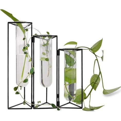 Lot de 3 vases, verre borosilicate, support en fer noir, suspension murale, décoration intérieure, propagation plantes (1/5)