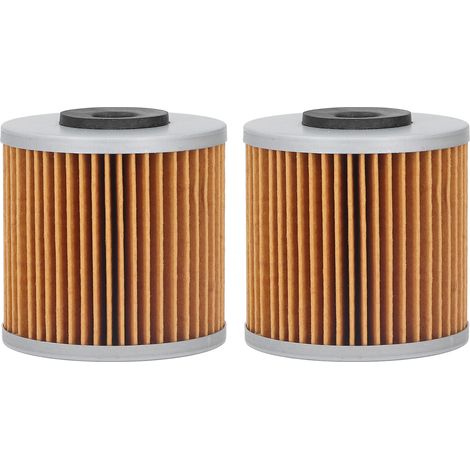 Kit de 2 Filtres Hydrauliques avec Joints pour Transmission Hydro Gear 71943 21548300 - Accessoires Outils de Jardin (1/5)