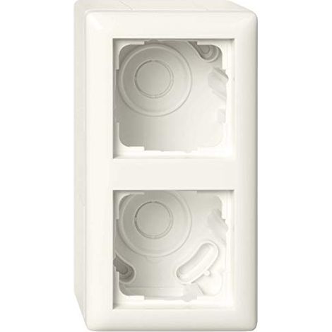 GIRA 4010337076780 BOÎTIER APPARENT 2F + CADRE 106201 STANDARD 55 BLANC