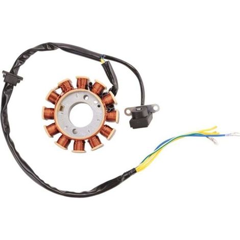 Coil 12 Pole Stator DC Bobine D'Allumage pour GY6 125Cc 150Cc (1/4)