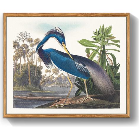Quadro su Tela da Parete con Cornice Vintage Airone Blu 40x60 cm (1/4)
