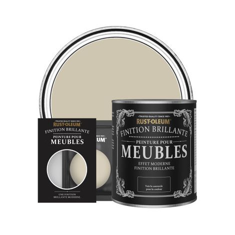 Peinture pour Meubles Brillante - Sauge Argentée (1/3)