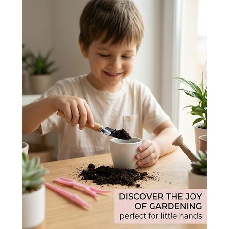 Set di attrezzi per il trapianto, kit di piantagione con forchetta per trapianto e bastoncino per trapiantare piantine, attrezzi da giardinaggio, distributore di semi per piantine giovani e talee (1/4)