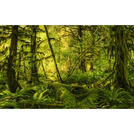 Papier peint panoramique naturel Monde Ancien (1/4)