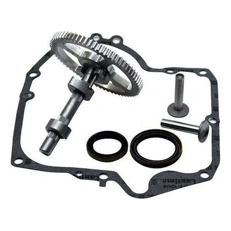 Arbre à cames Briggs & Stratton 793880 793583 792681 791942 795102 Kit de remplacement de came avec joint d'huile 795387 et joints de carter Ruikalucky 697110 LKBD (1/4)