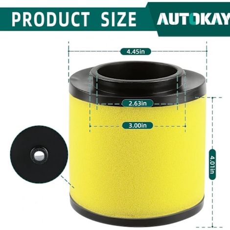 17254-HM8-000 Air filter with fuel filter, suitable for Honda TRX250 small motorcycles. (1/4)