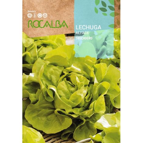 Rokalba -Samen Lechuga Trocadero (schwarzer Samen) 500 g