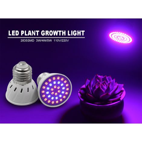Ampoule Led Croissance Plante E27 E14 - Spectre Complet Pour Photosynthèse - Serre Jardin Intérieur Hydroponie - 1 Pièce (1/5)
