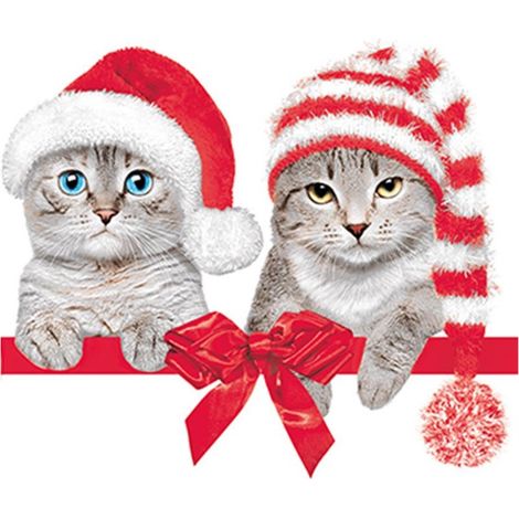 Servilletas navideñas de GATOS Papá Noel 33x33cm 20 unidades.