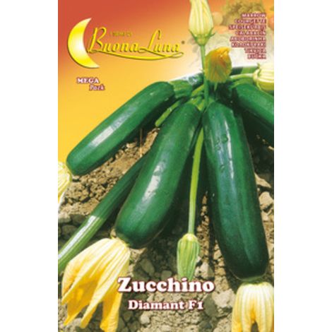 SEMI ORTO ZUCCHINO DIAMANT- HORTUS SEMENTI- 10,0 pz