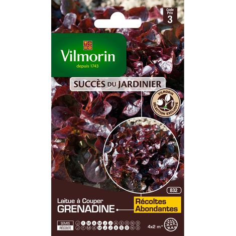 Laitue à Couper Feuille de Chêne Grenadine Vilmorin (1/2)